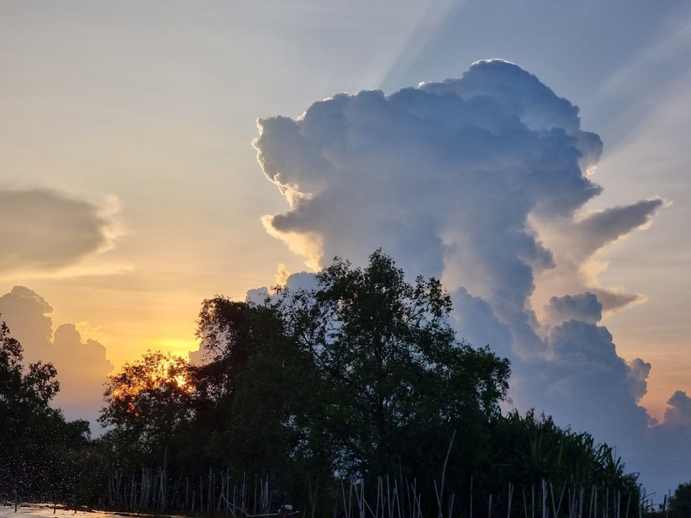 Thale Noi Waterbird Park