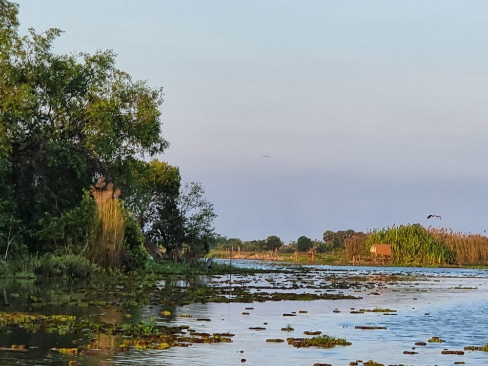 Thale Noi Waterbird Park