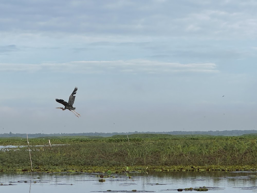 Thale Noi Waterbird Park