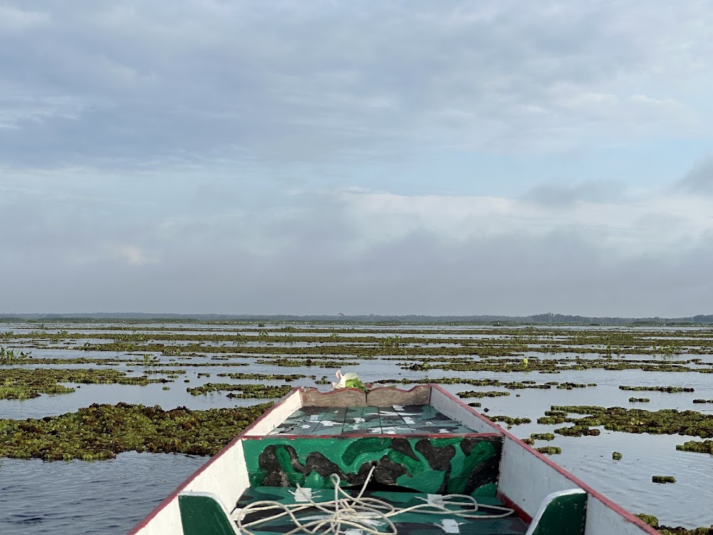 Thale Noi Waterbird Park