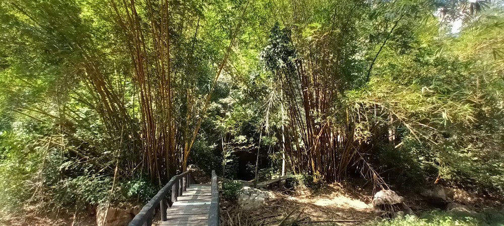 Tham Pha Nam Thip Non-hunting Area