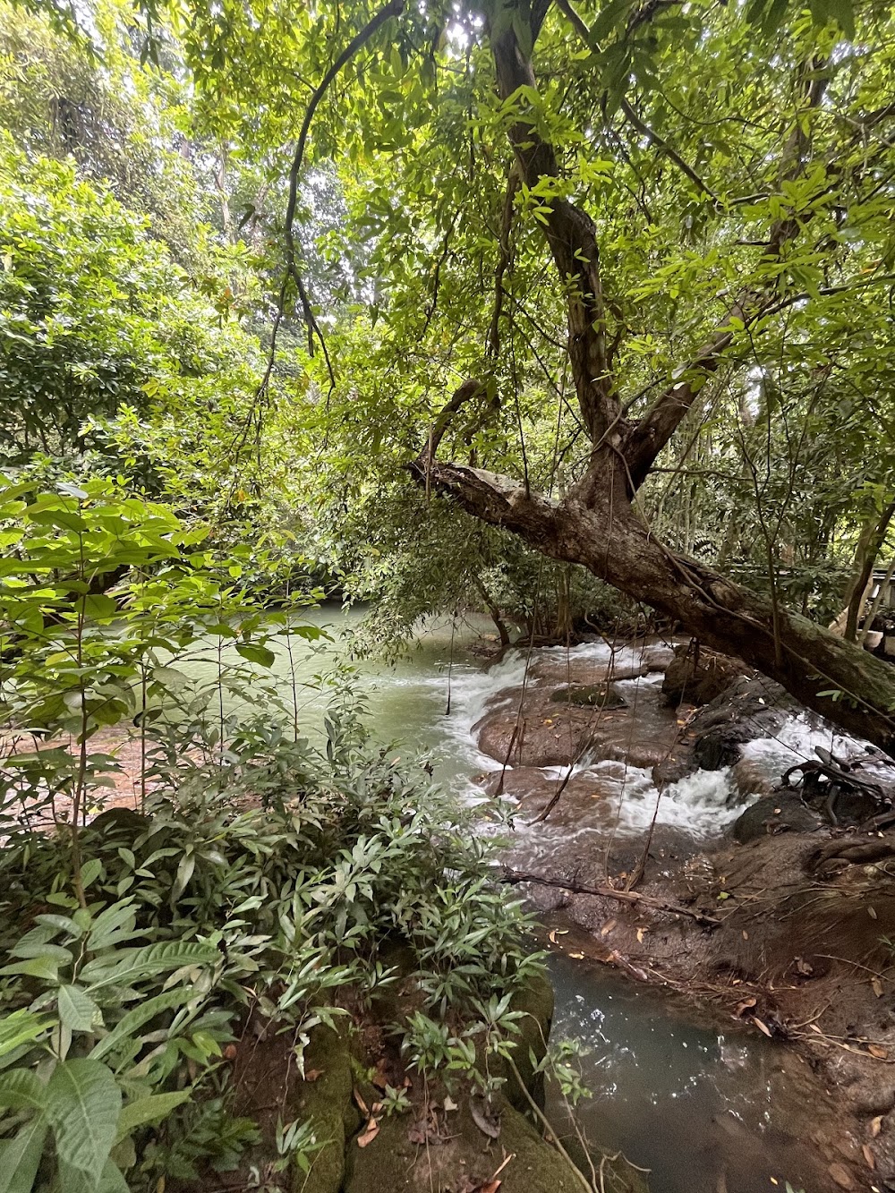 Than Bok Khorani National Park