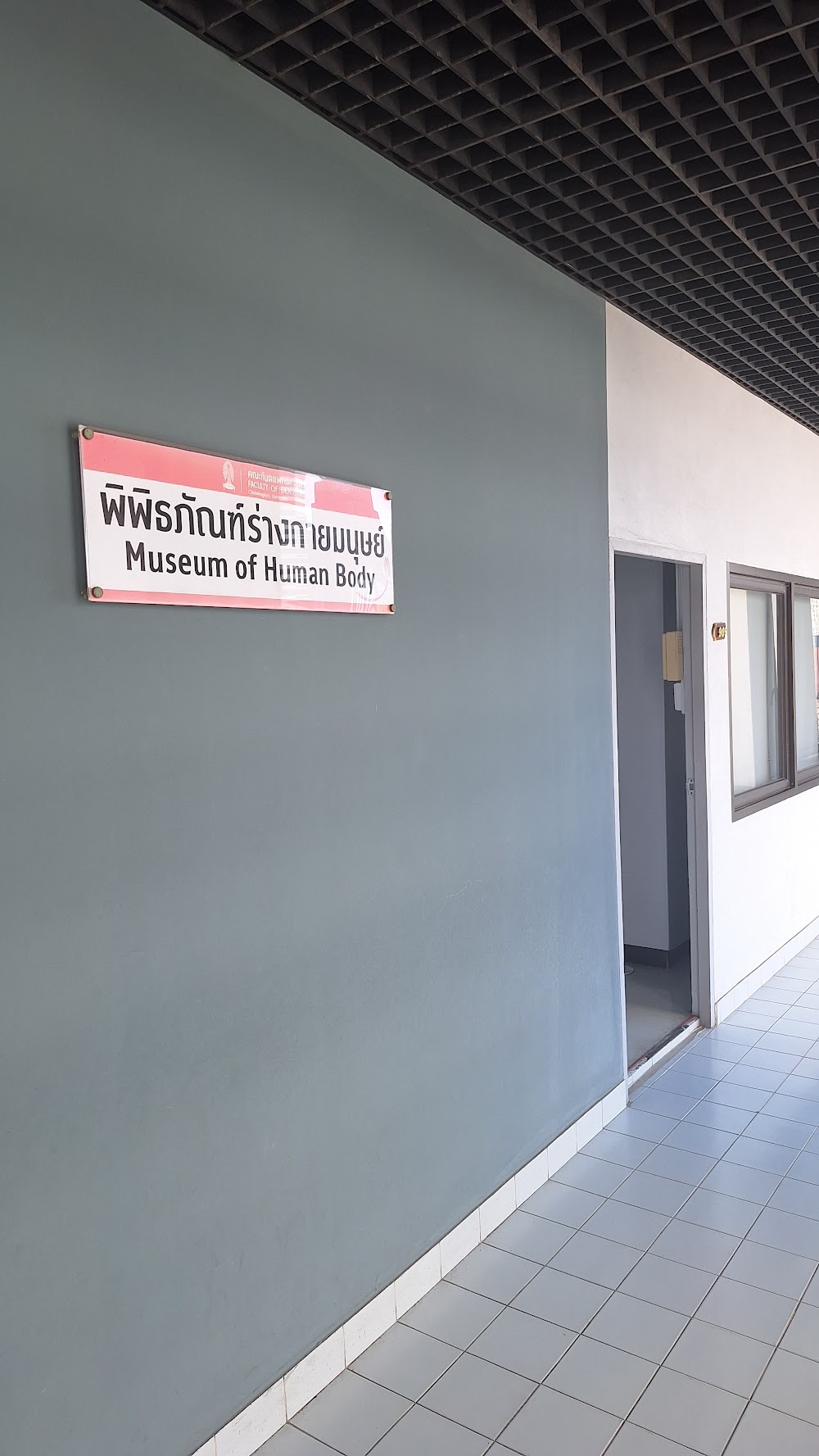 The Human Body Museum
