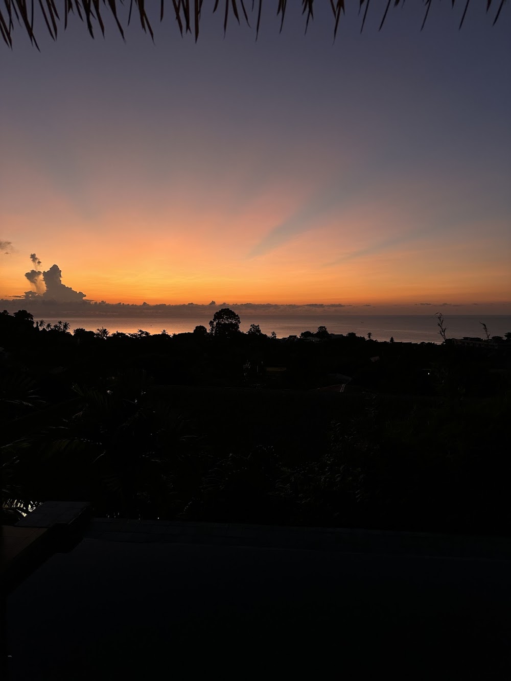 The Wild Samui