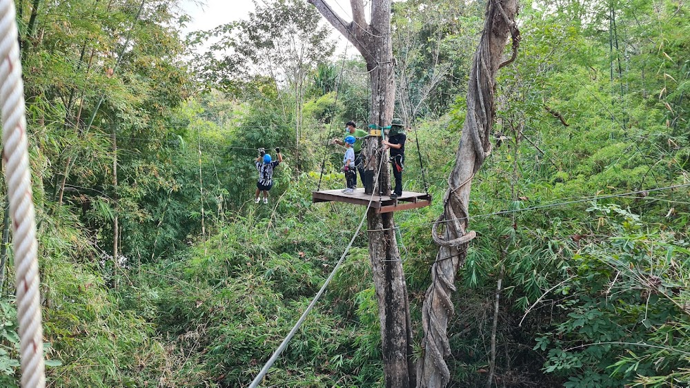 Tree Top Adventure Park