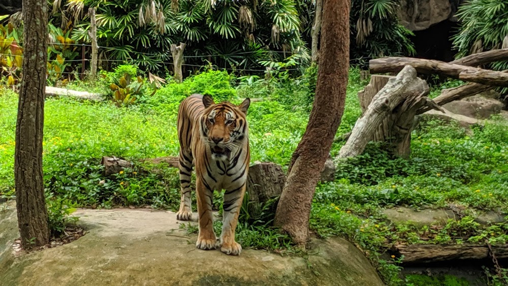Ubon Zoo