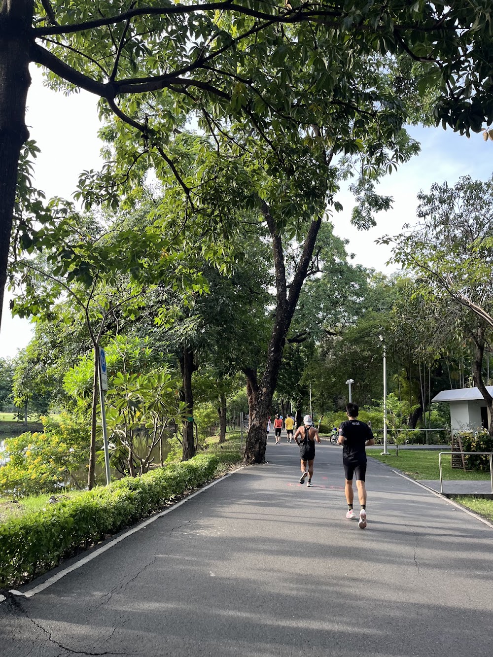 Wachira Benchathat Park (Rot Fai Park)