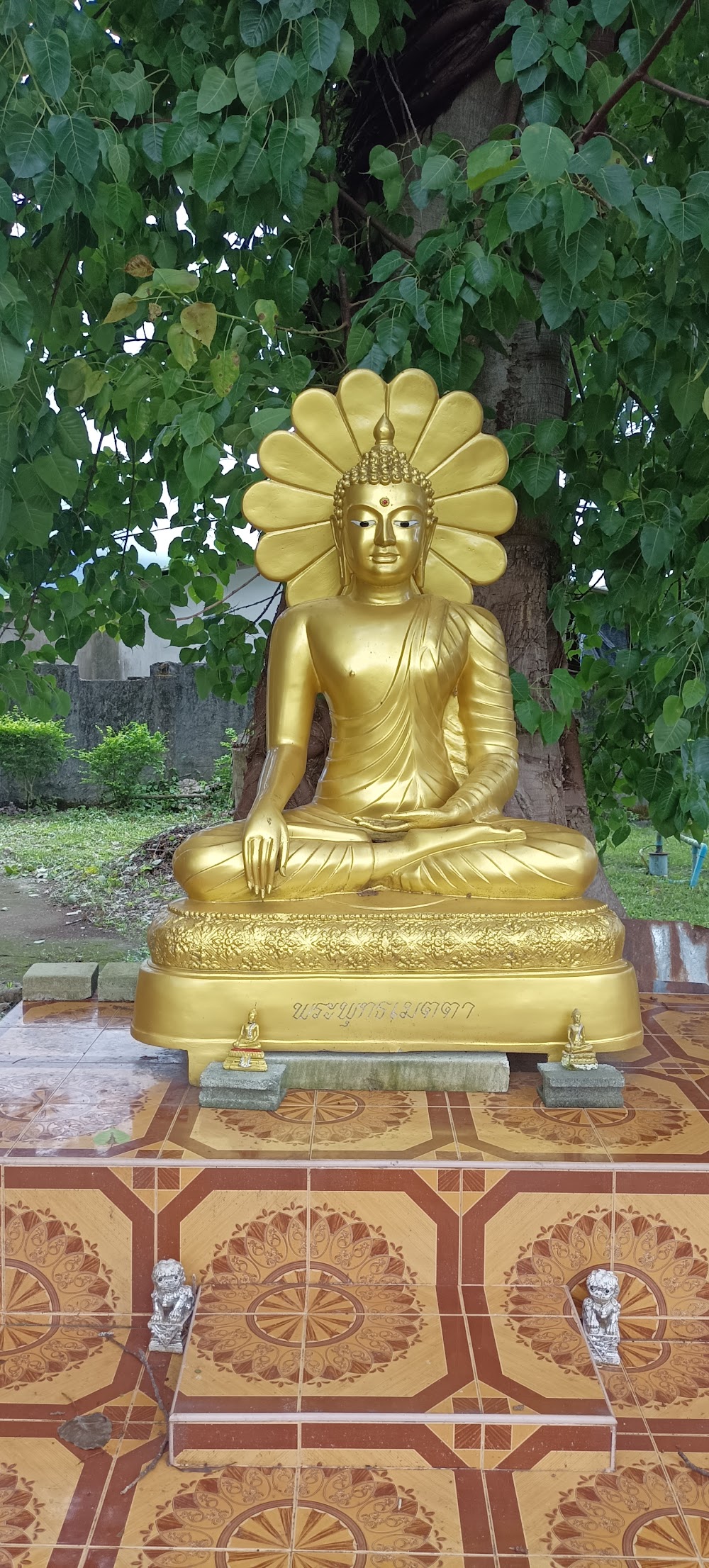 Wat Chak Yai Buddhist Park
