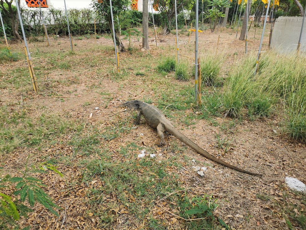 Wat Ketmadi Si Wararam