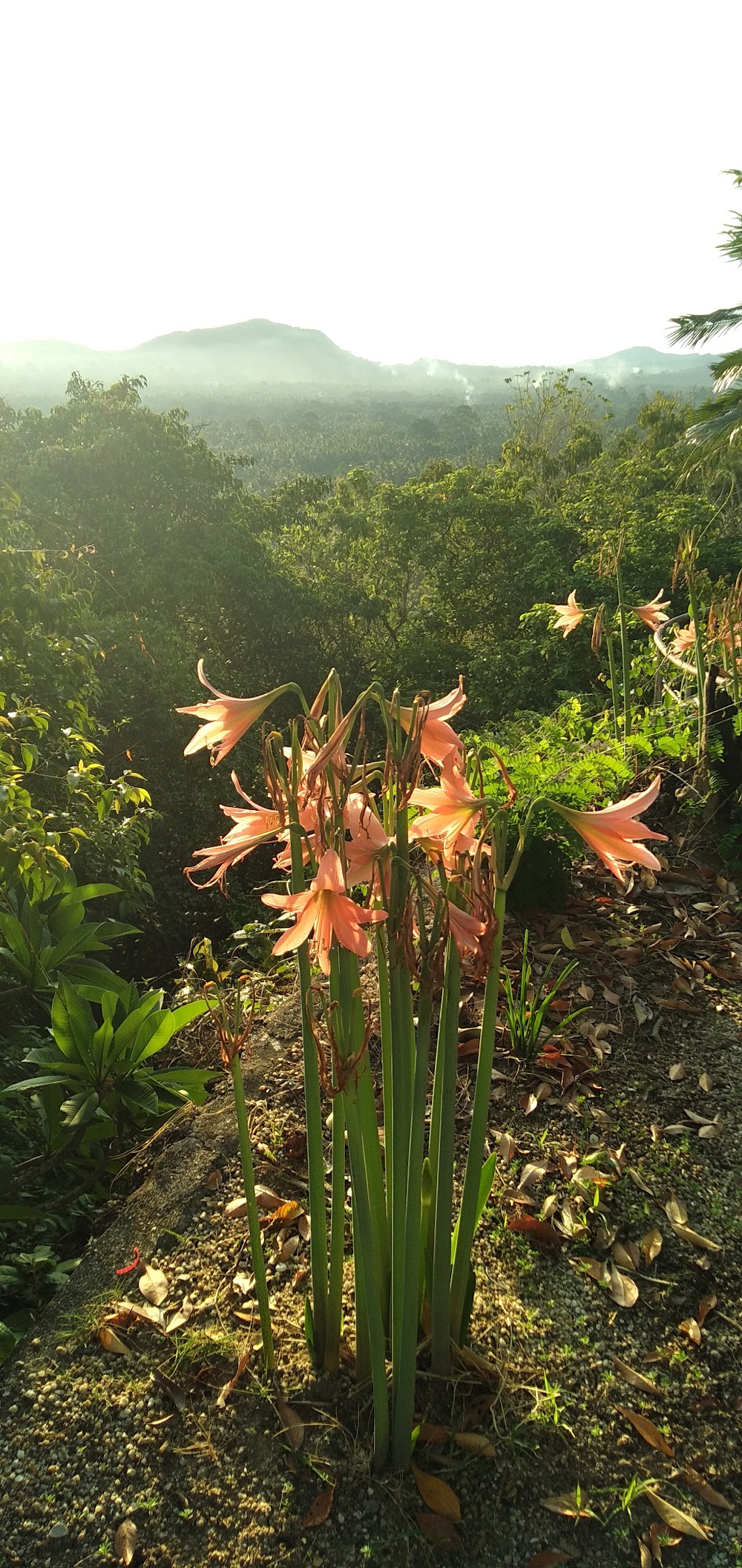 Wat Khao Tham