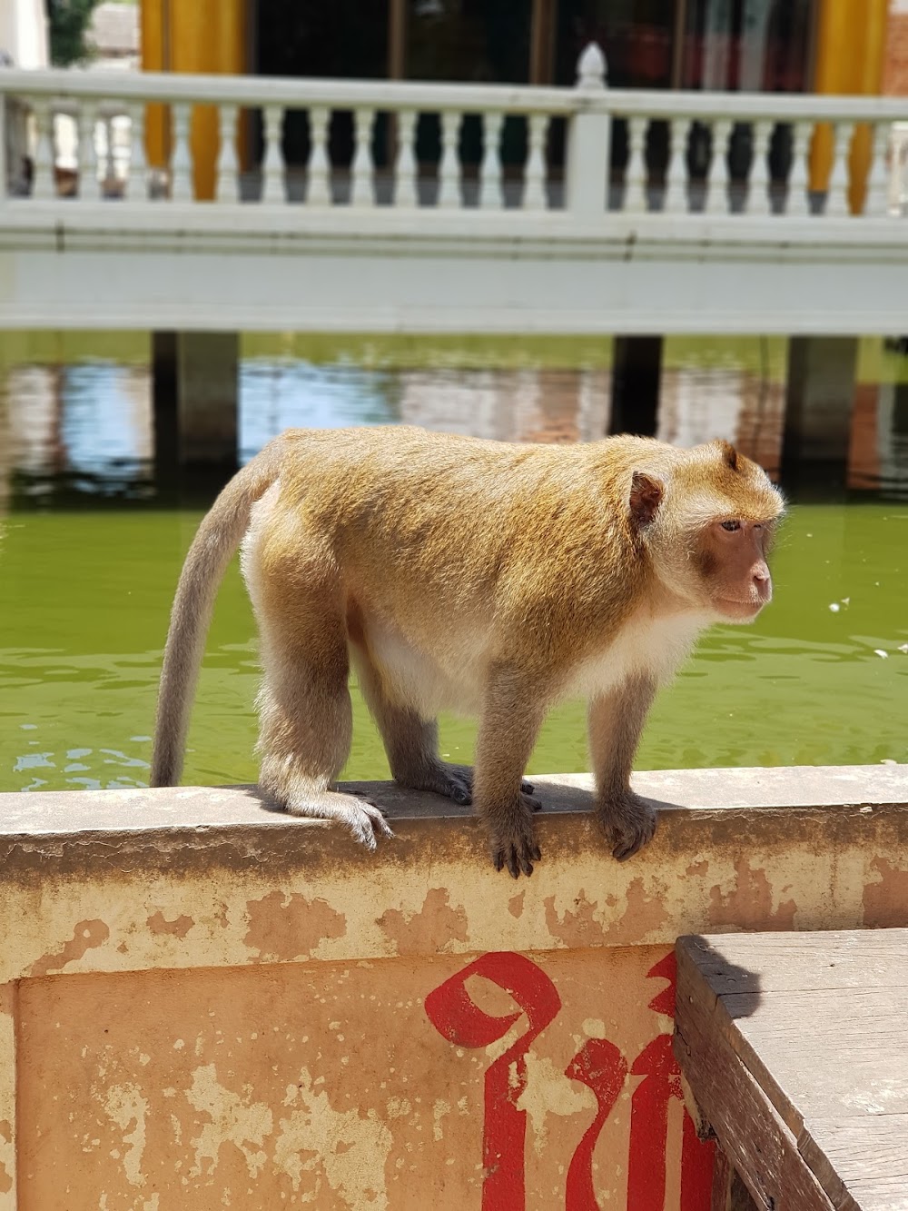 Wat Krieng Krai Klang