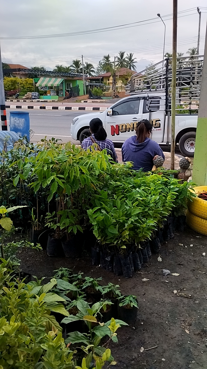 Wat Sawang Arom Worawihan