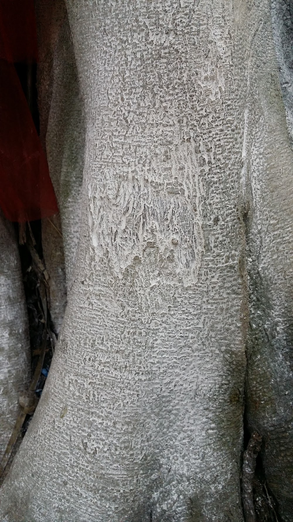 Wat Siriuttho (Wat Kham Chanod)
