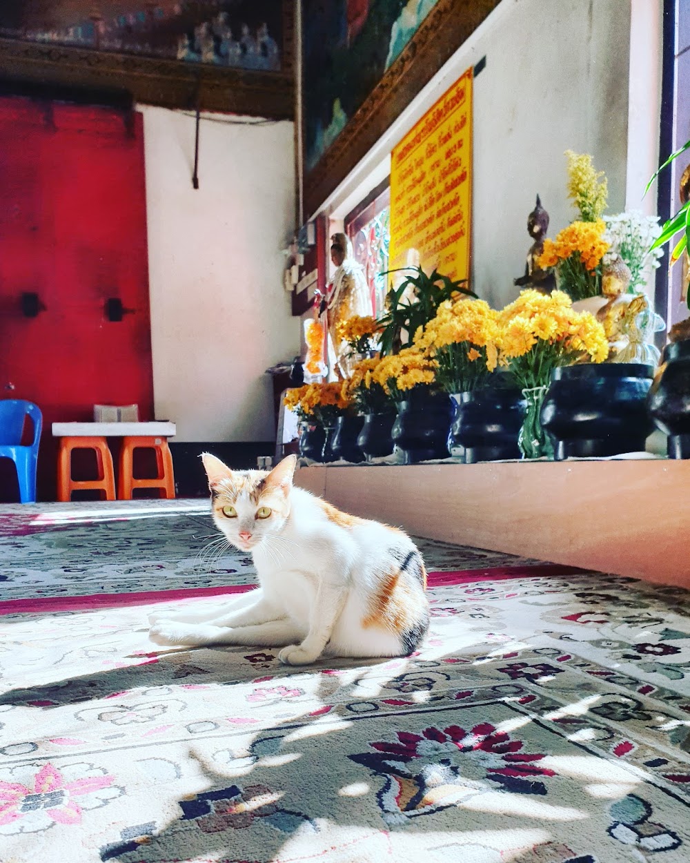 Wat Sopanaram temple