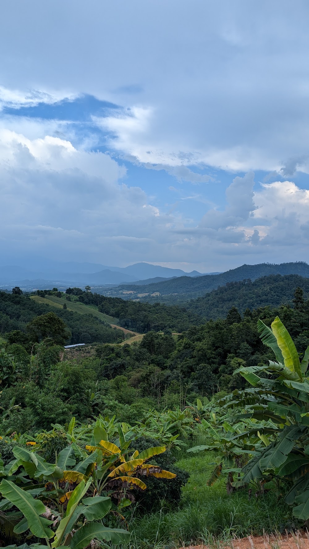 Yun Lai Viewpoint