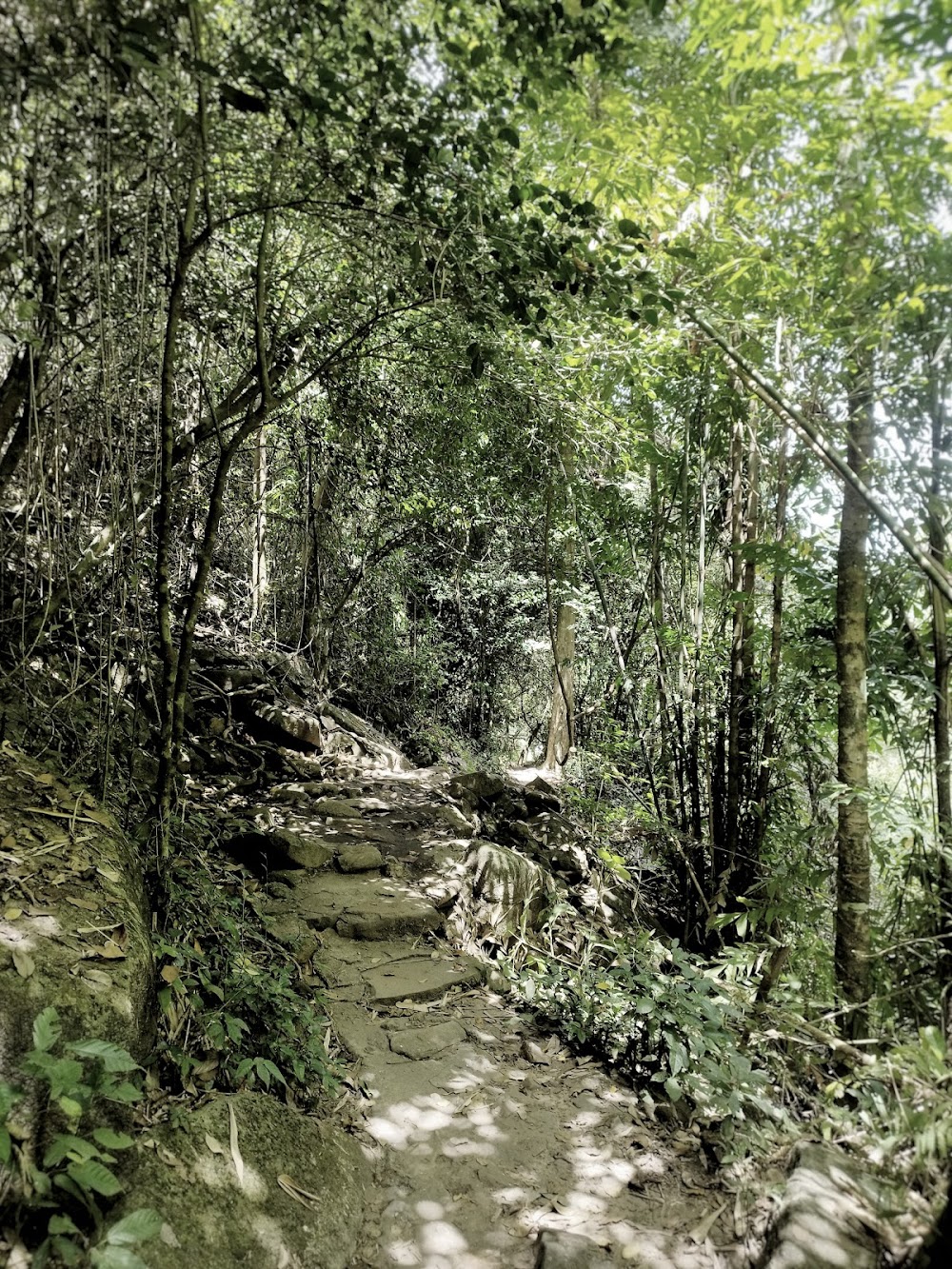 Bang Pae Waterfall