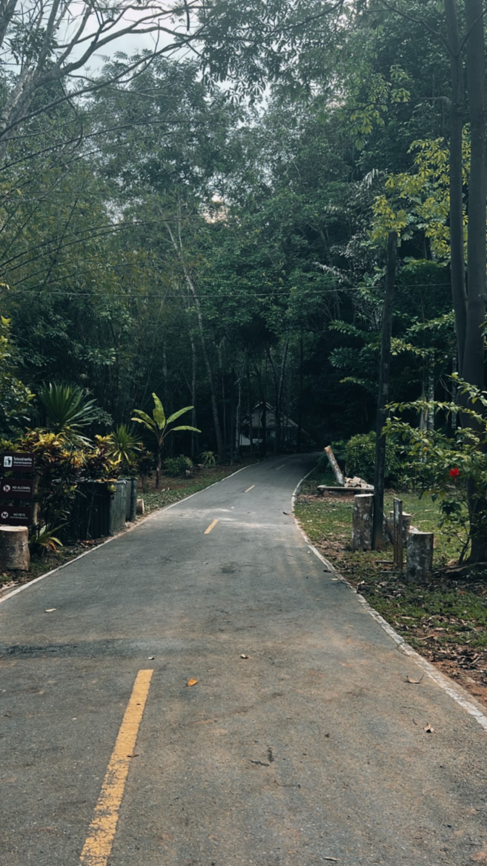 Bang Pae Waterfall