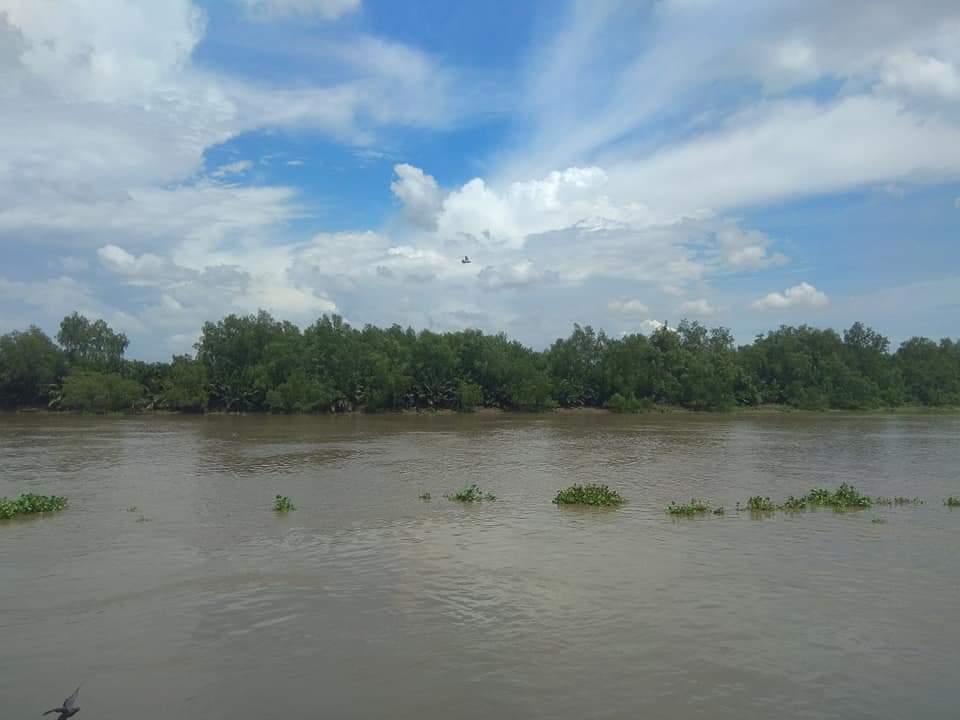 Bang Pakong River