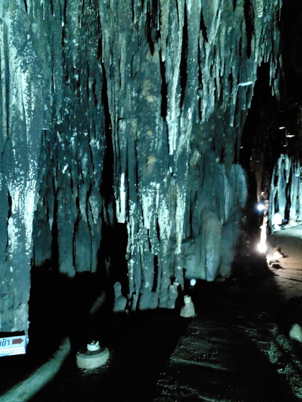 Bat Cave at Wat Khao Chong Pran