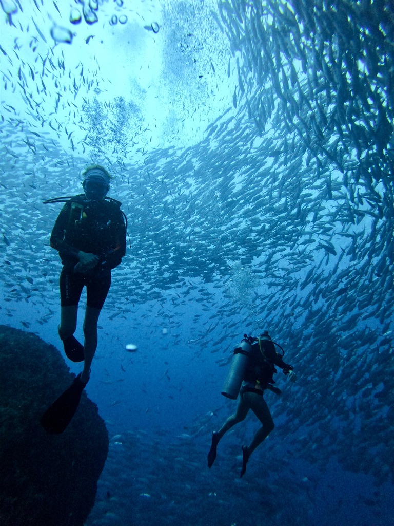 Blackbeard Diving