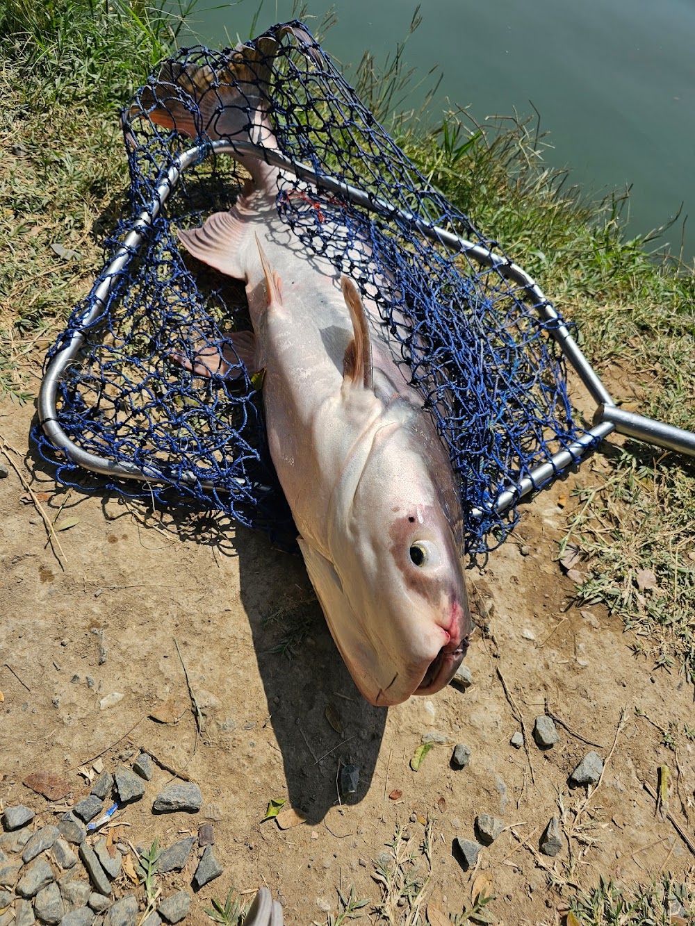 Bo Sang fishing park