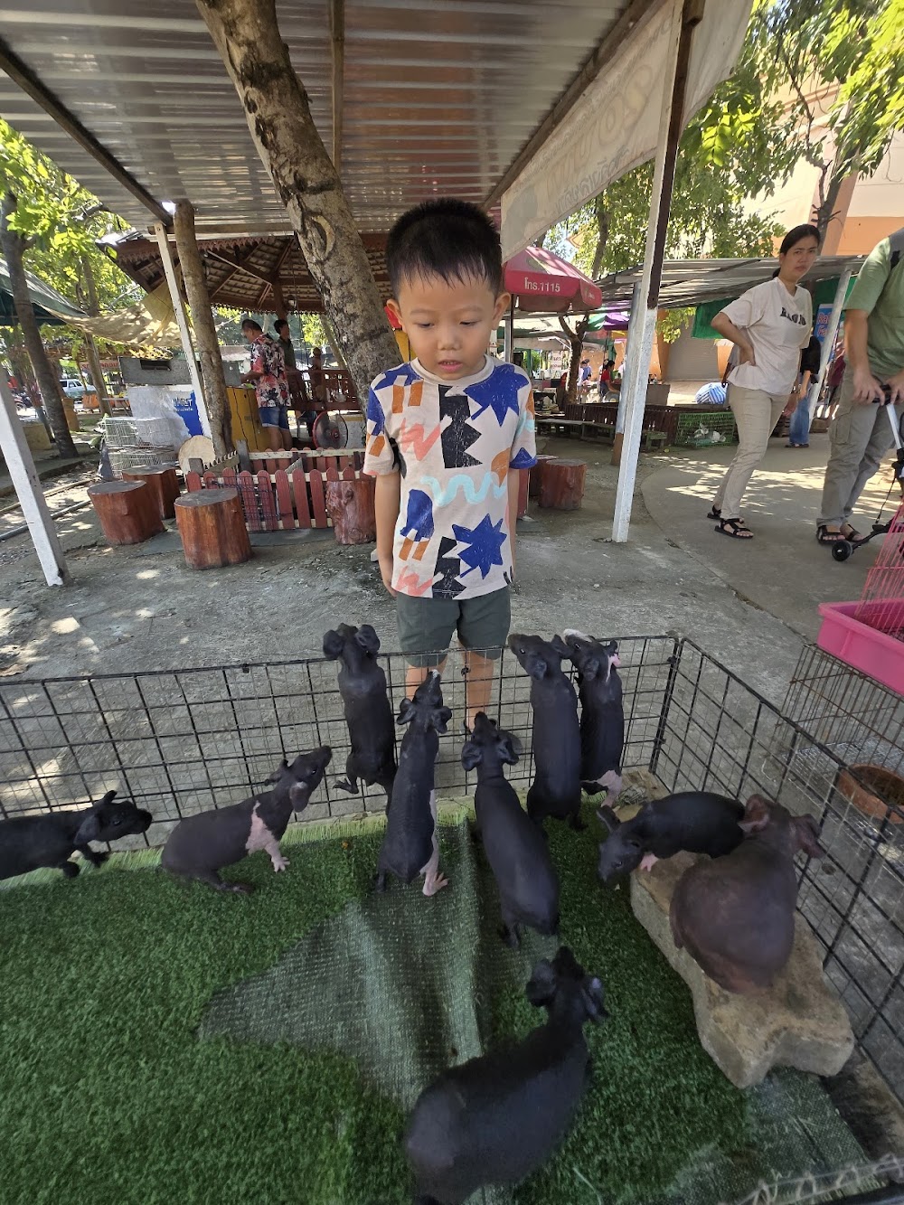 Bueng Boraphet Aquarium