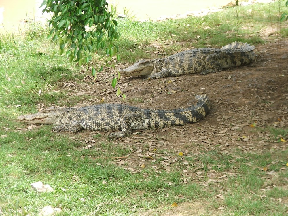 Bueng Si Fai