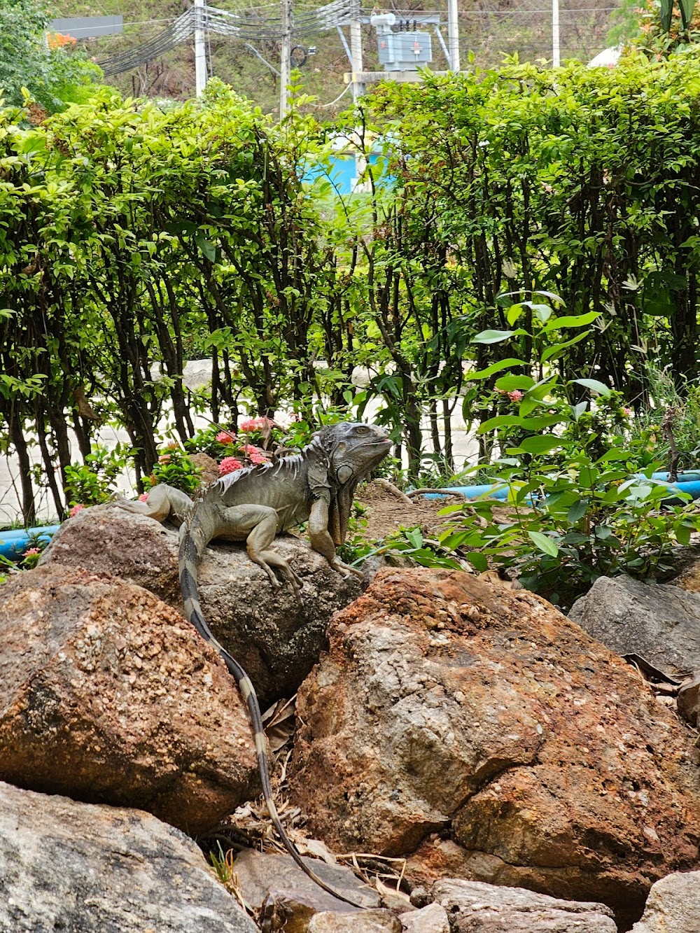 Chainat bird park