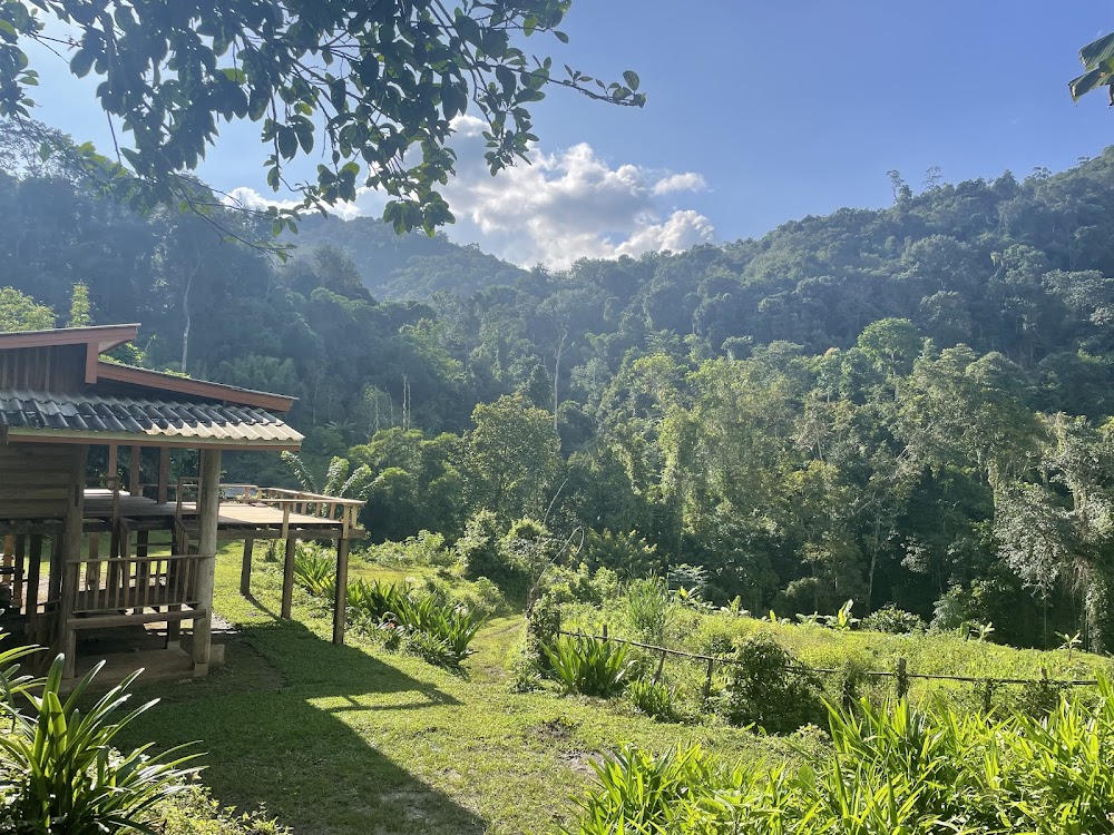 Chiang Mai Trekking