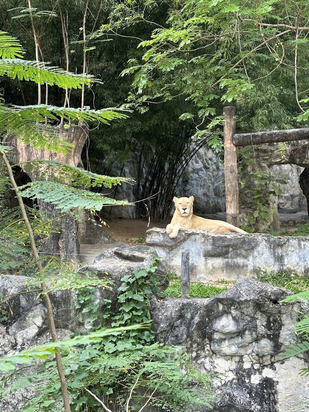 Chiang Mai Zoo