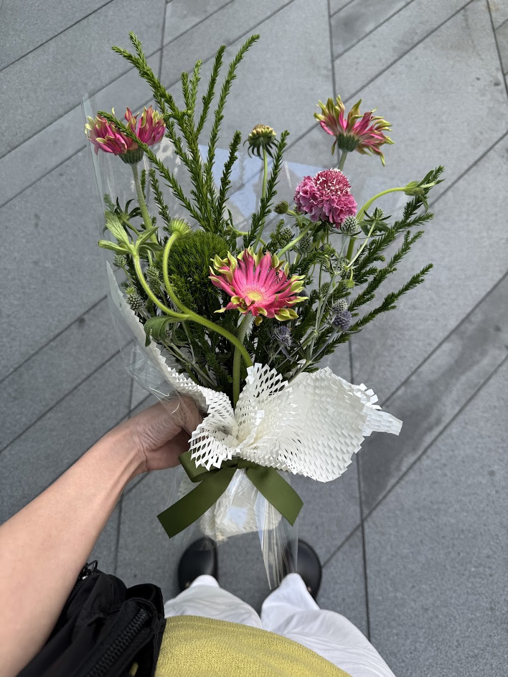 Chrysanthemum flower