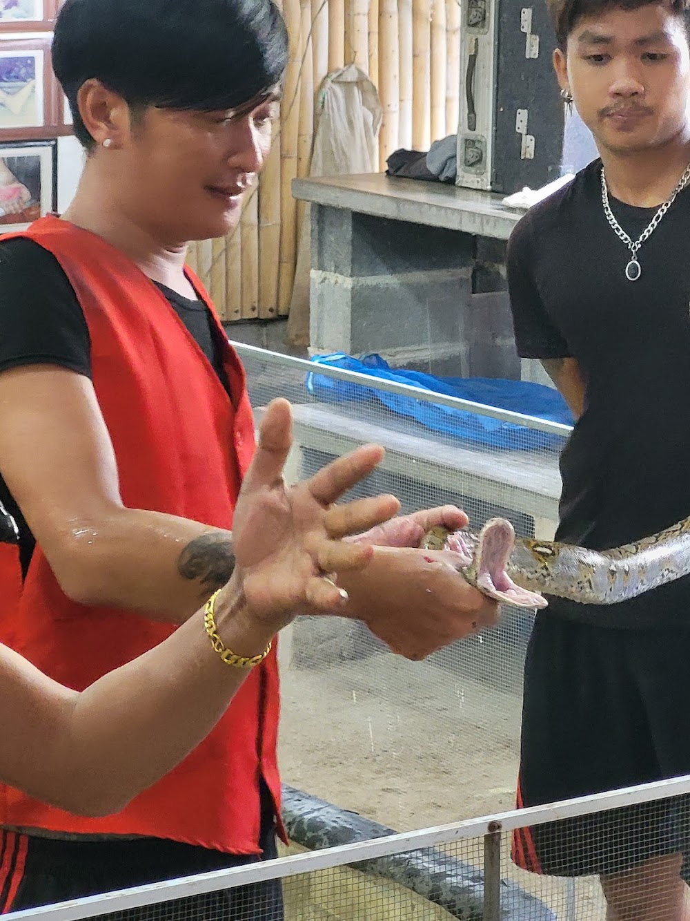 Cobra Show