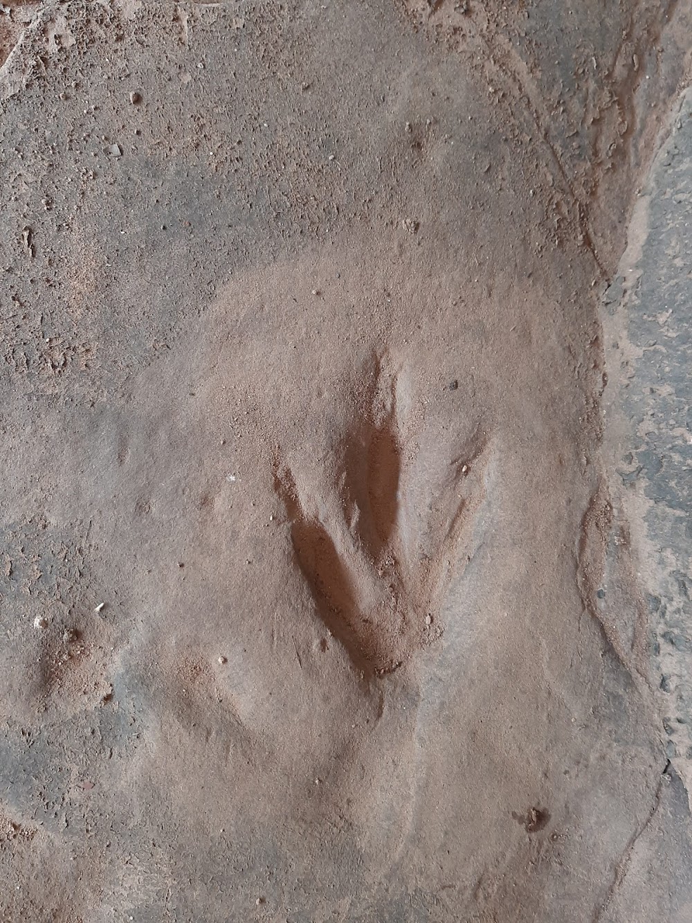 Dinosaur Footprints Park at Tha Uthen