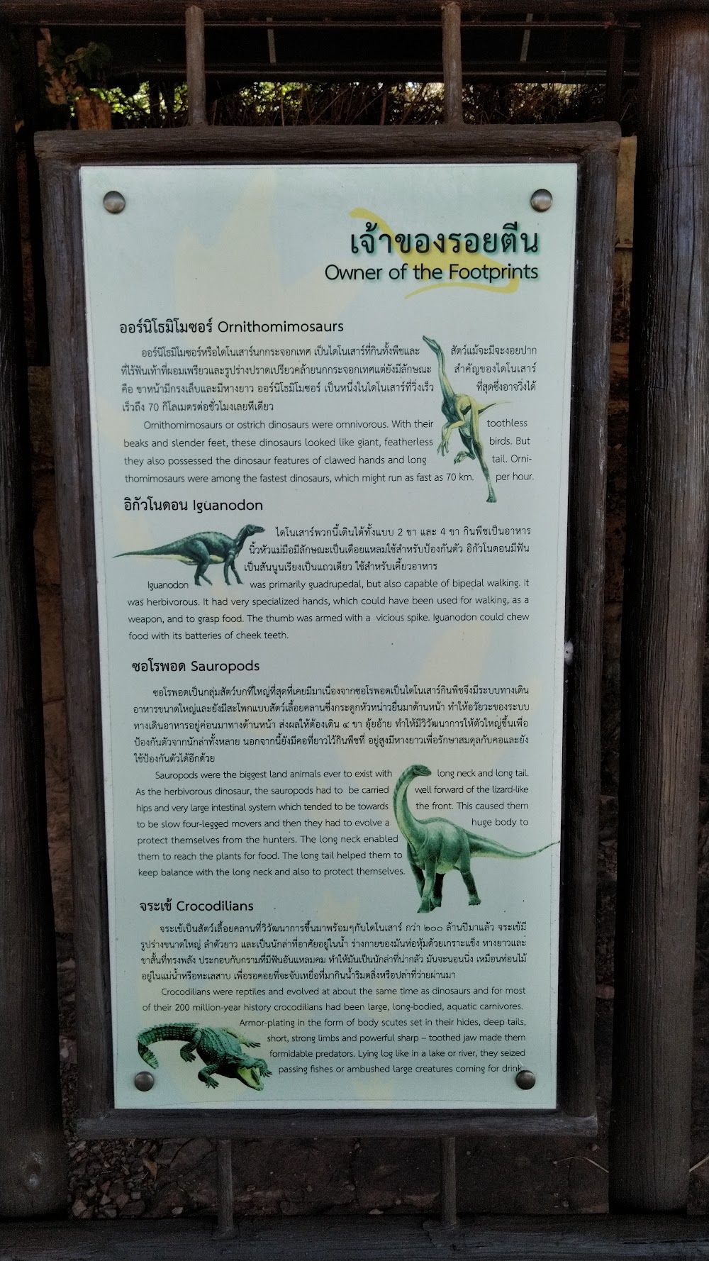 Dinosaur Footprints Park at Tha Uthen