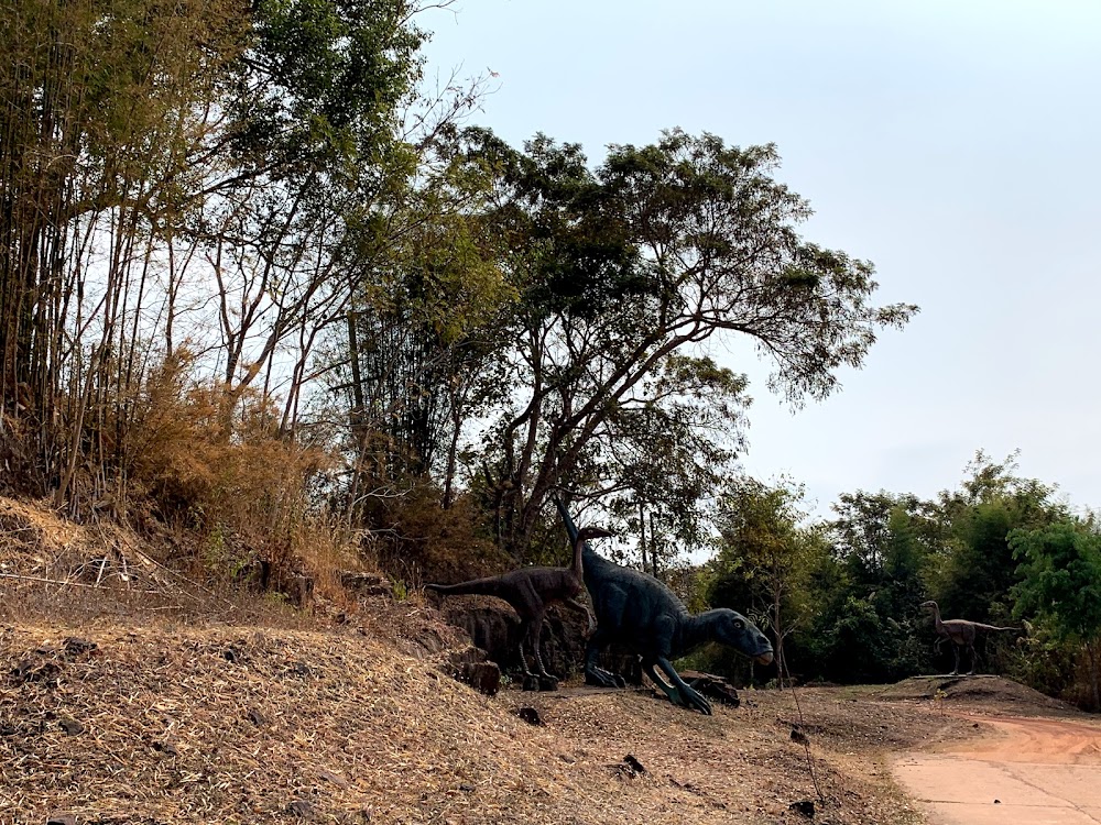 Dinosaur Footprints Park at Tha Uthen