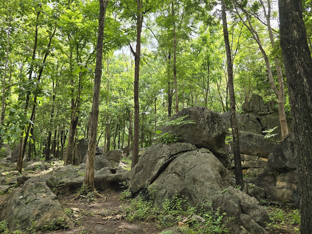 Doi Pha Klong National Park
