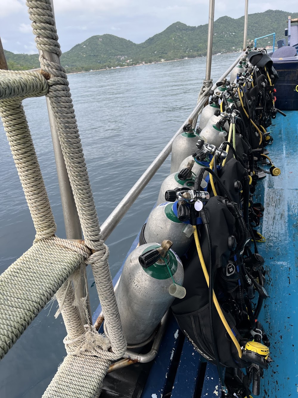 Dpm Diving Koh Tao