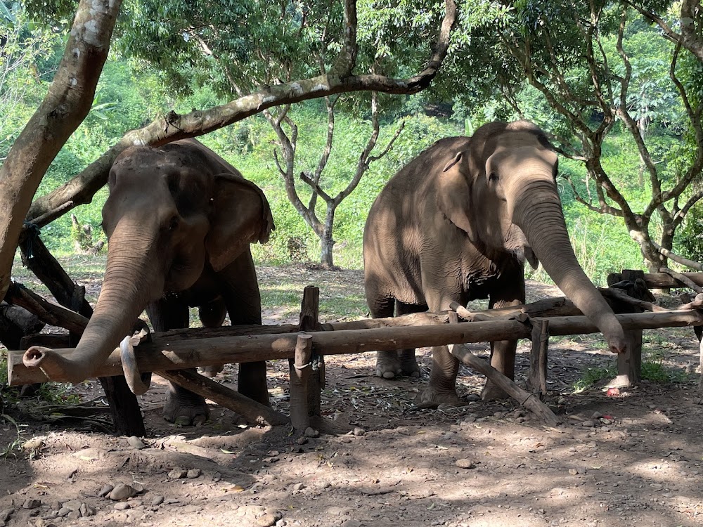 Elephant Nature Park