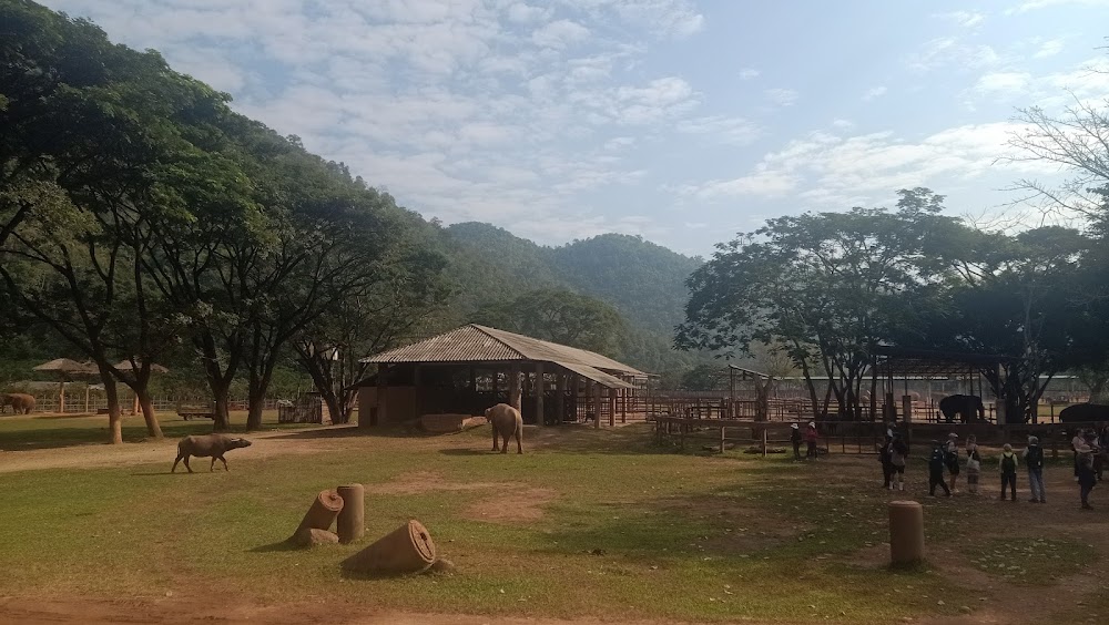 Elephant Nature Park