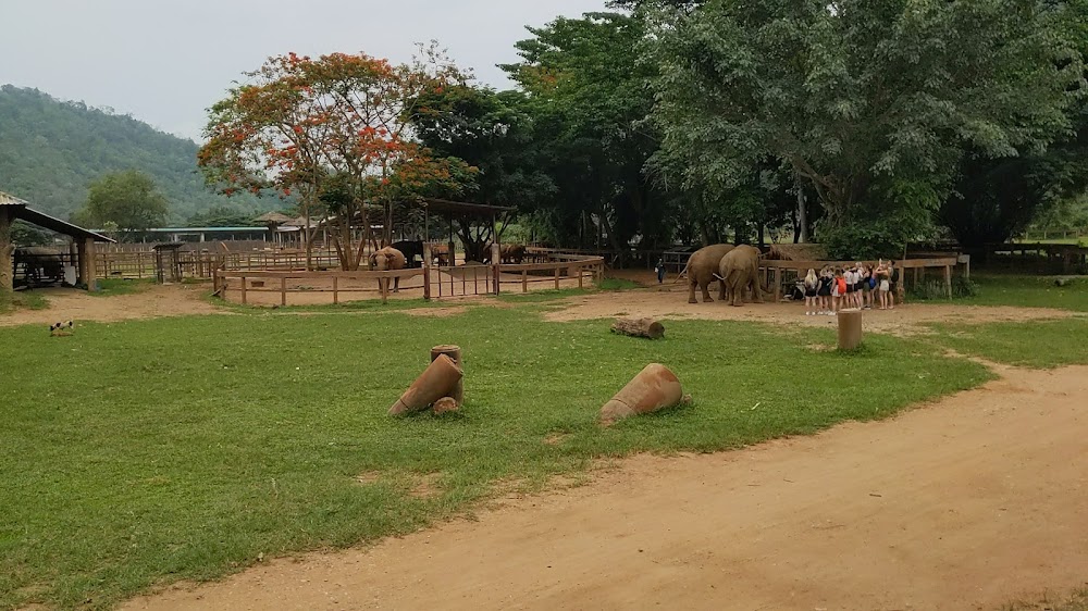 Elephant Nature Park