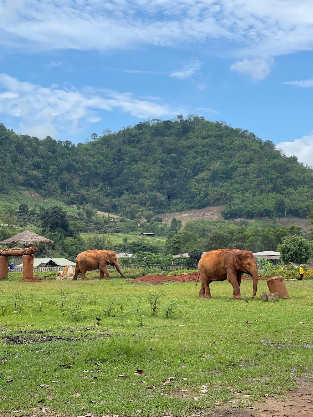Elephant Nature Park