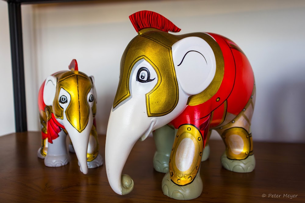 Elephant Parade House