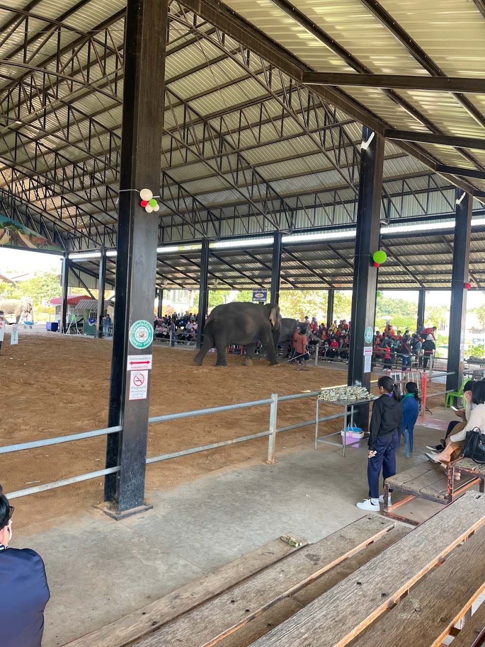 Elephant Study Center Surin