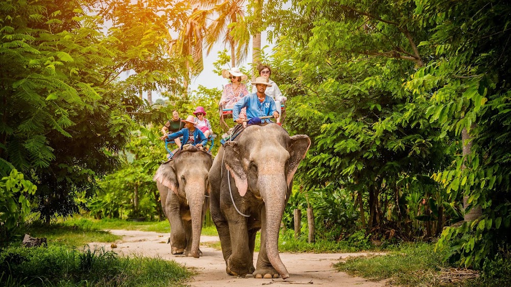 Elephant Village