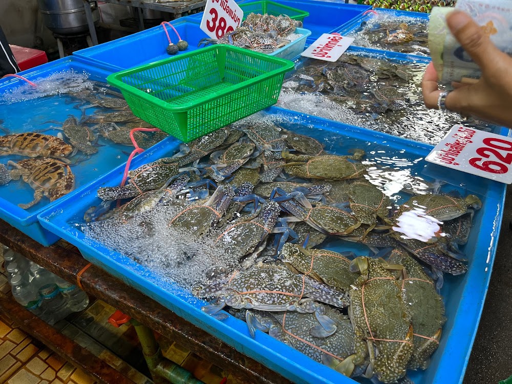 Fish Market Angsila