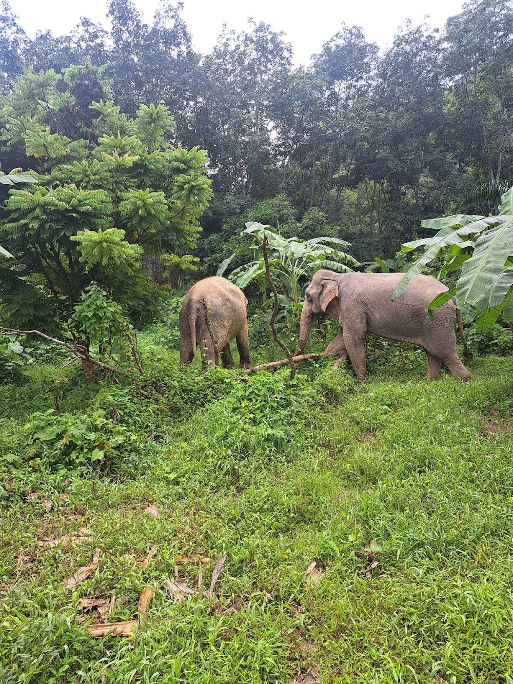 Following Giants – Koh Lanta