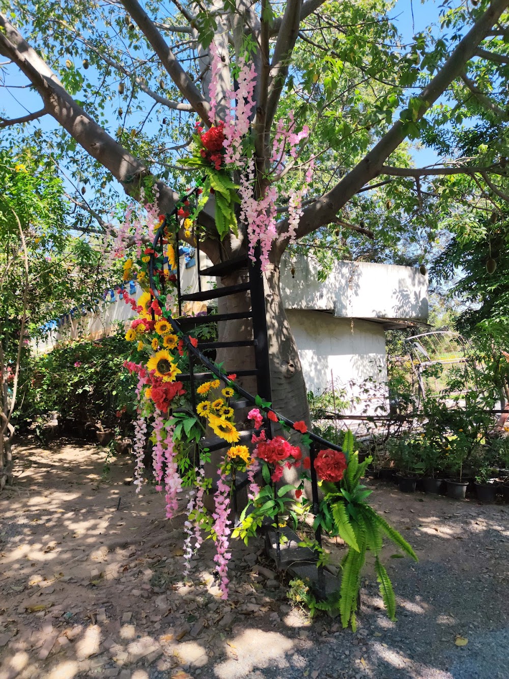 Hobbit House (Baan Suan Noi)