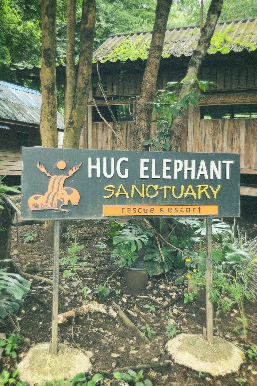 Hug Elephant Sanctuary