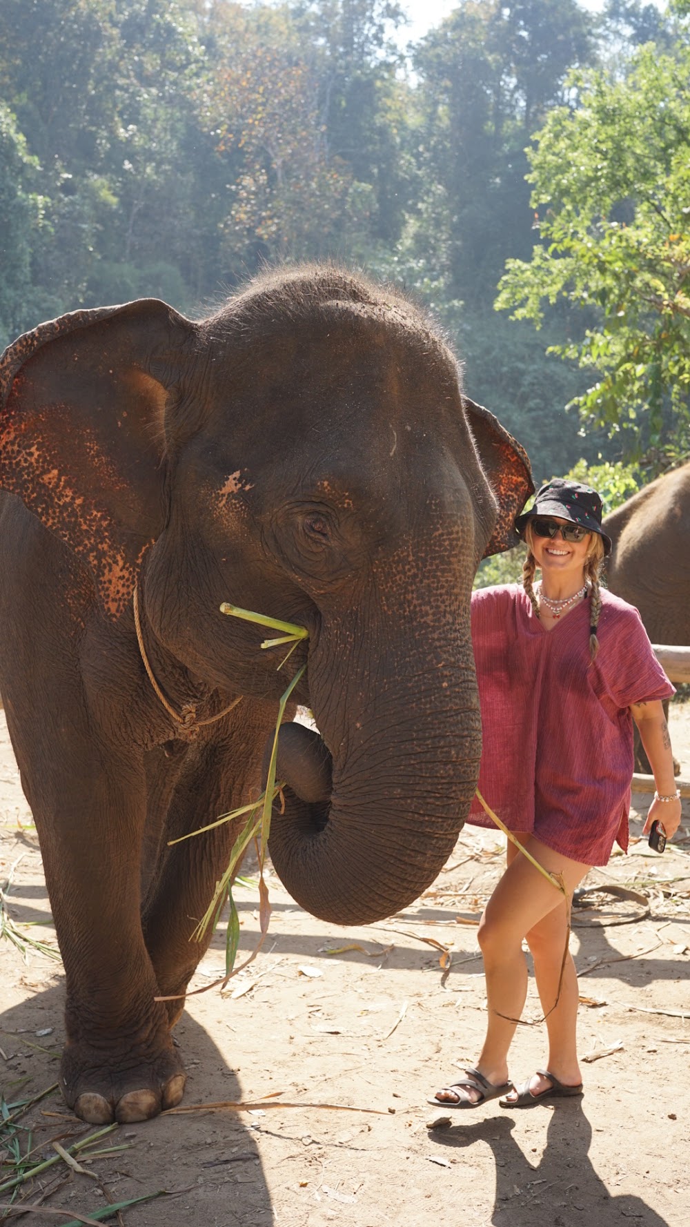 Hug Elephant Sanctuary