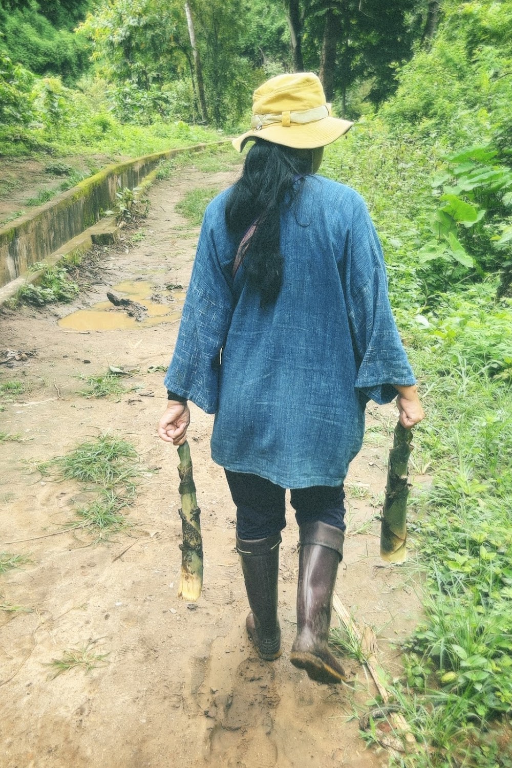 Hug Elephant Sanctuary